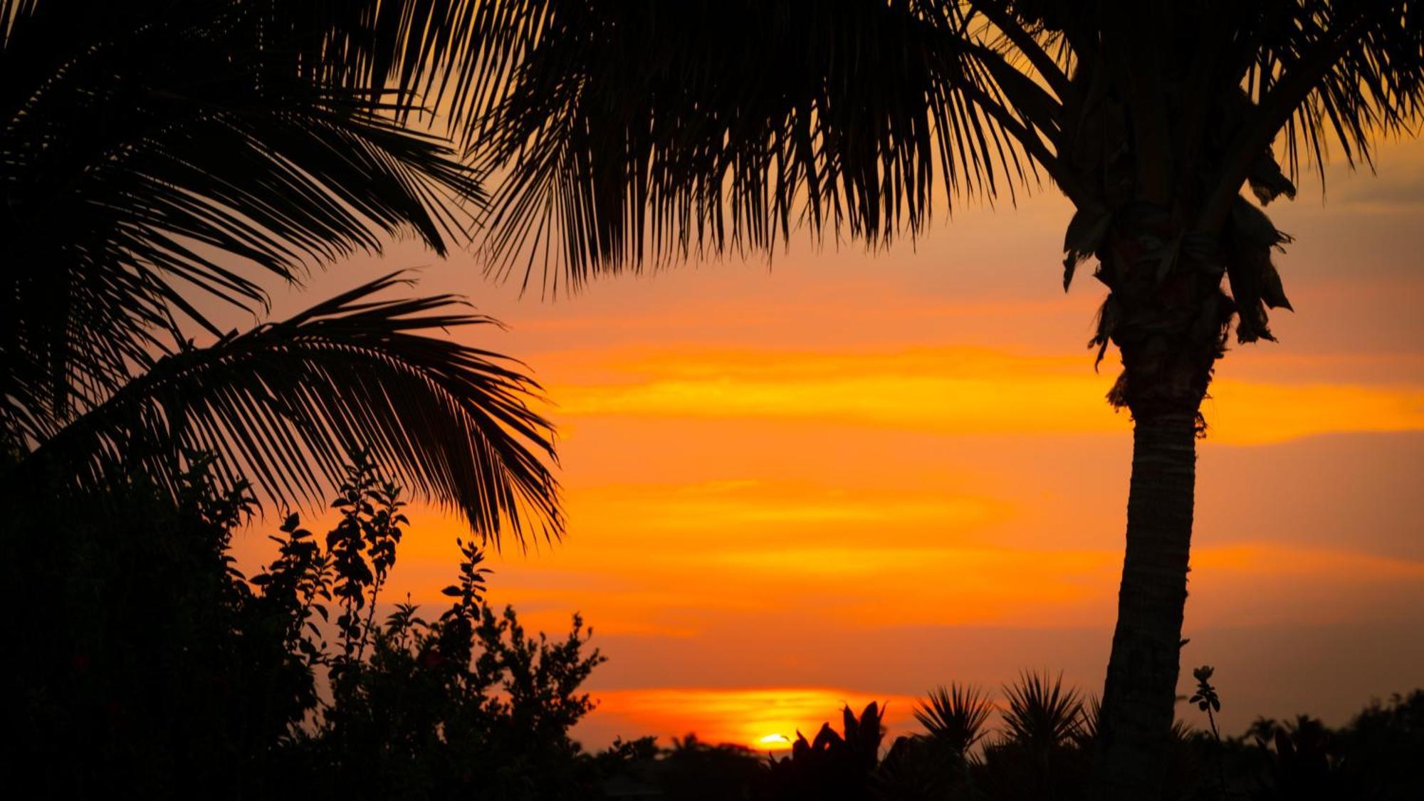 Starry Nights Dreamy 4Br Ainamalu Home With Mountain View Waikoloa Εξωτερικό φωτογραφία