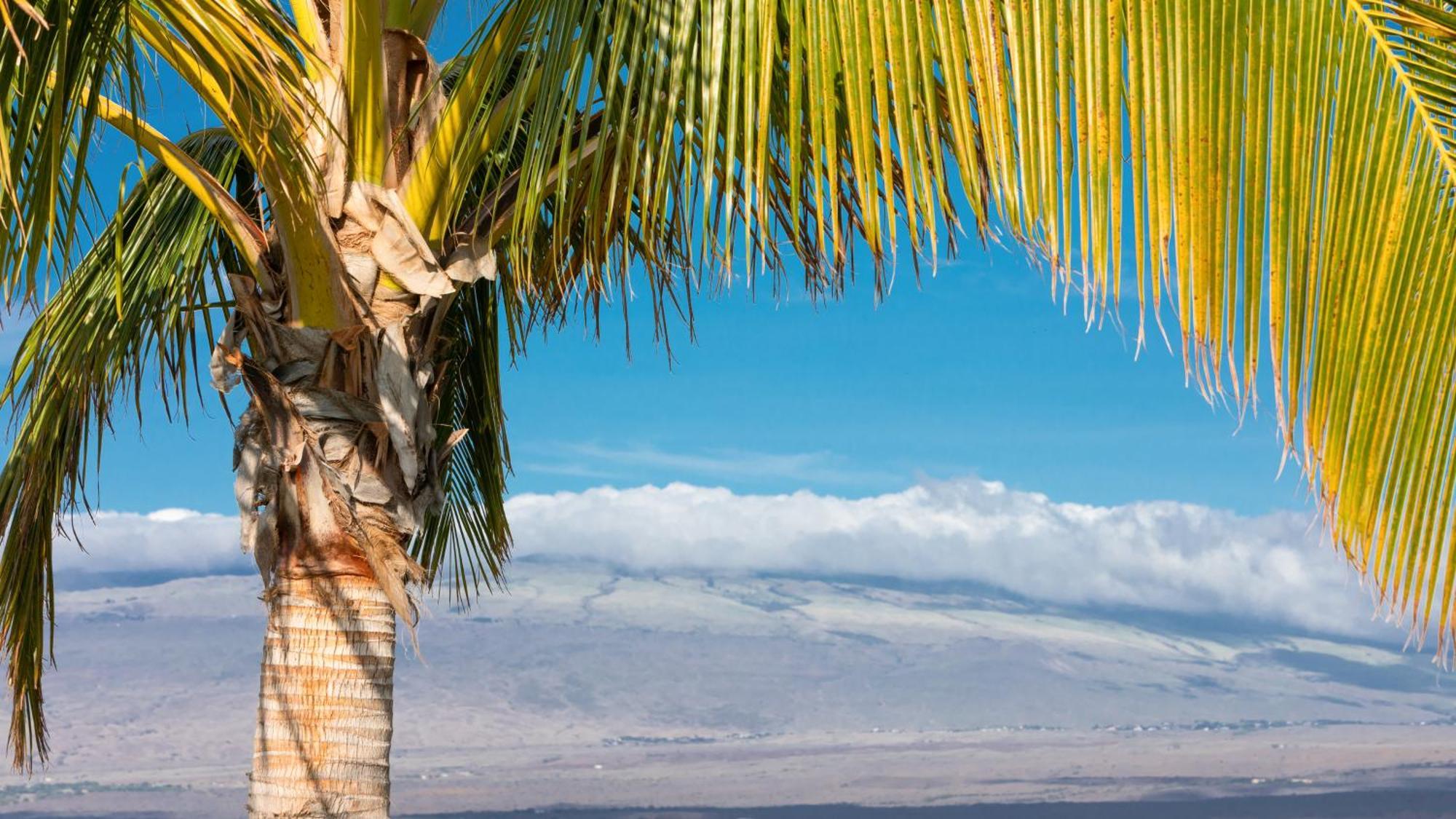 Starry Nights Dreamy 4Br Ainamalu Home With Mountain View Waikoloa Εξωτερικό φωτογραφία