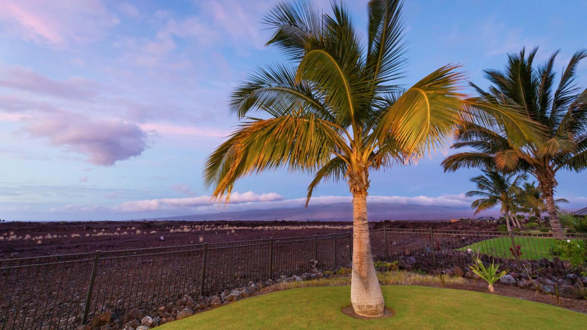 Starry Nights Dreamy 4Br Ainamalu Home With Mountain View Waikoloa Εξωτερικό φωτογραφία